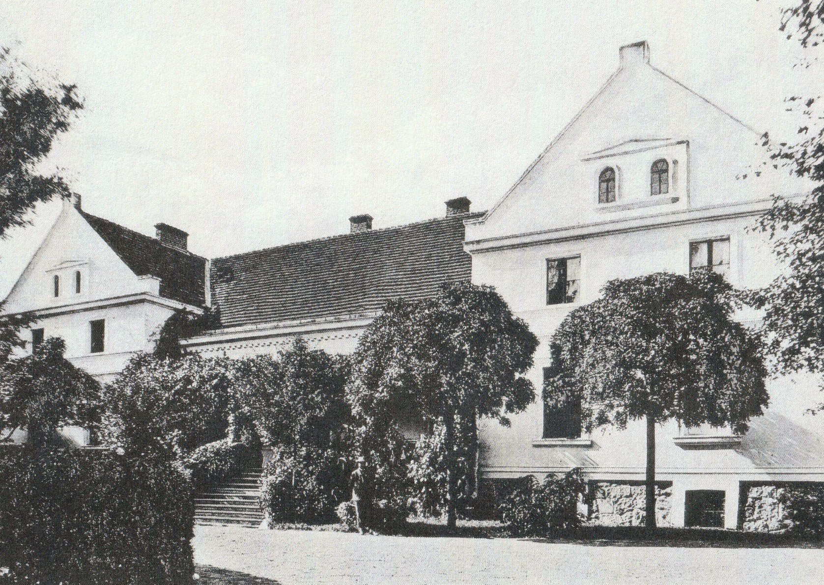 Myszki – fotografia archiwalna