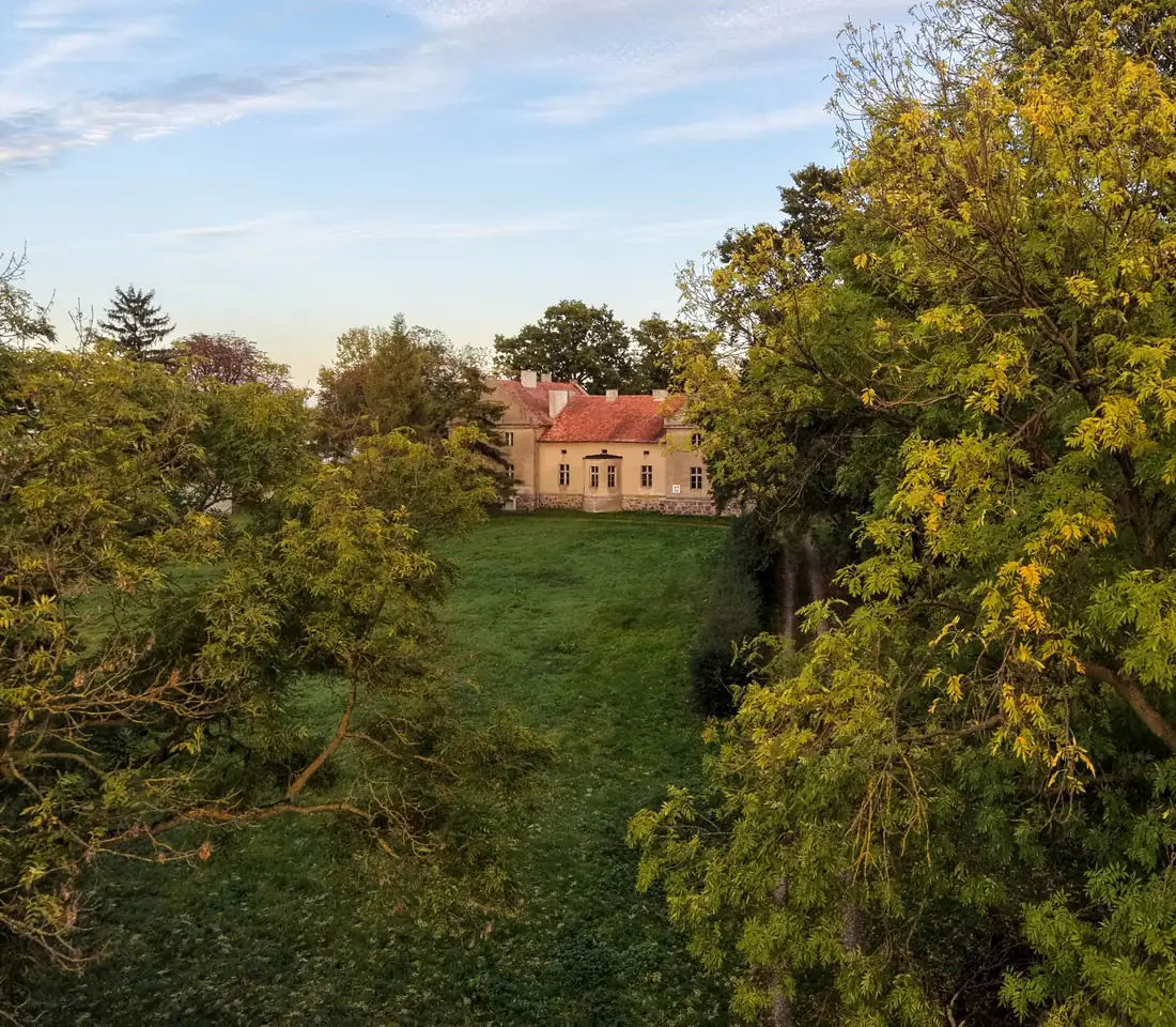 Myszki — aktualna fotografia autora